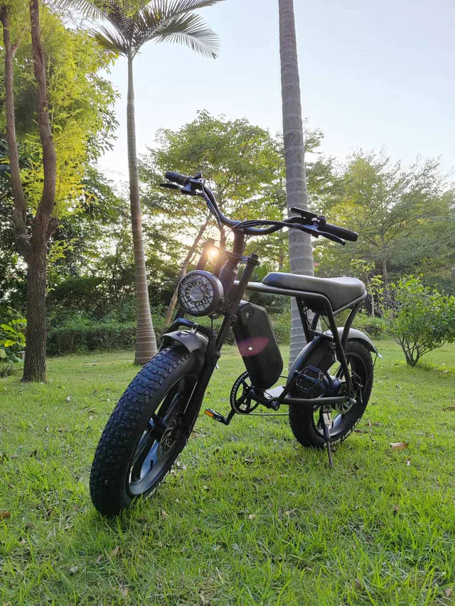 Efficient Electric Bike for Daily Commuting - Fatbike International