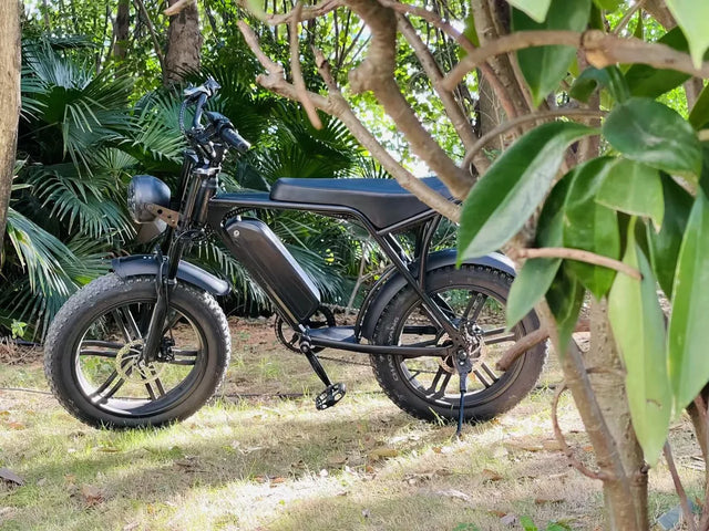 The BILLY 1000w E-Bike