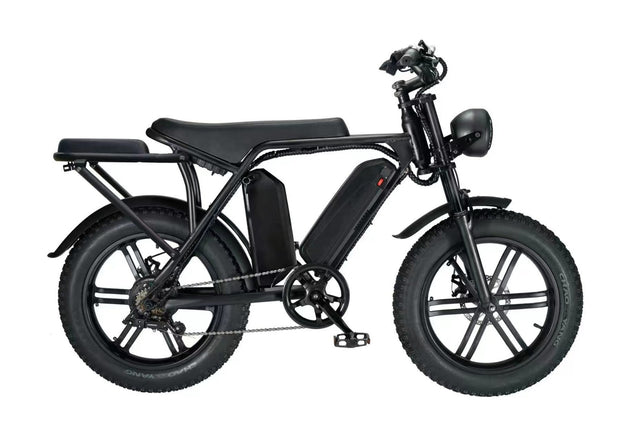 Electric Fat Tire Bikes – Fatbike International